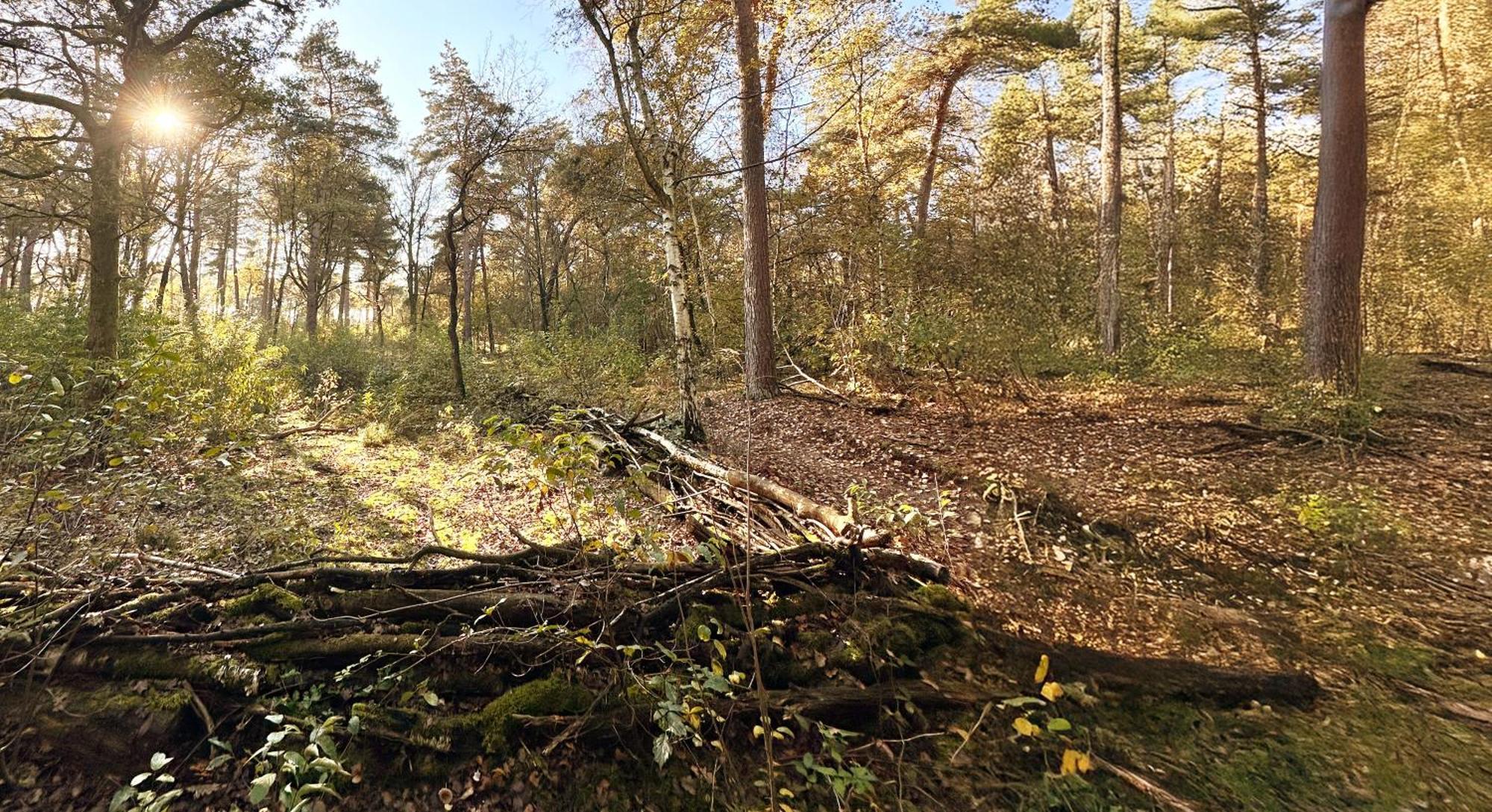 Wellness Tuin - Ultieme Partner Beleving - St Hubertus Suite Met Jacuzzi ,Openhaard, Prive Hottub En Prive Sauna In Jachthut Stijl Horst Luaran gambar